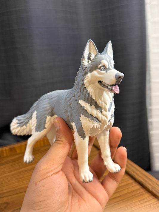 Siberian Husky