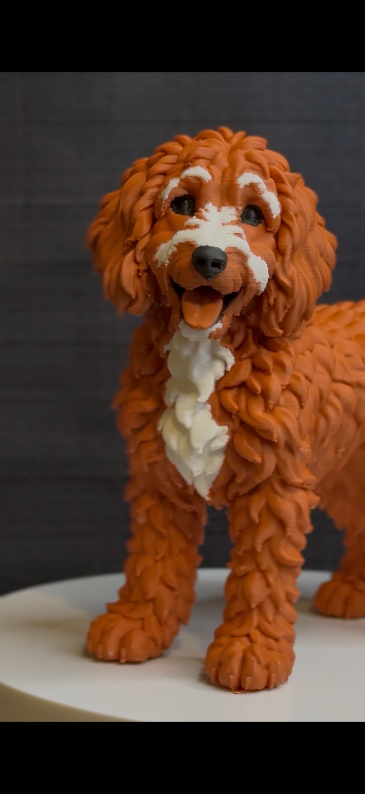 Goldendoodle