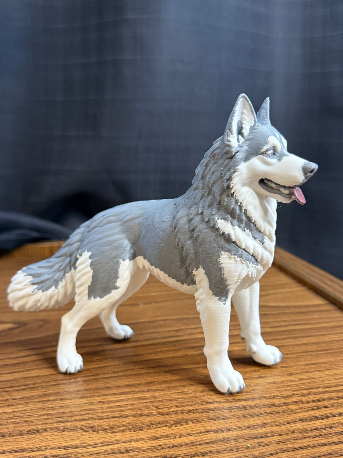 Siberian Husky