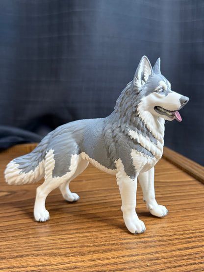Siberian Husky