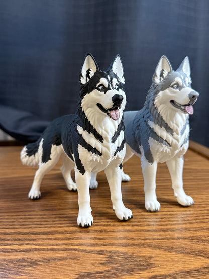 Siberian Husky