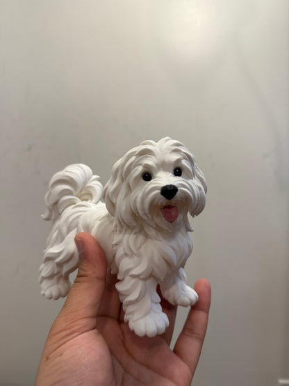 Shih-Tzu