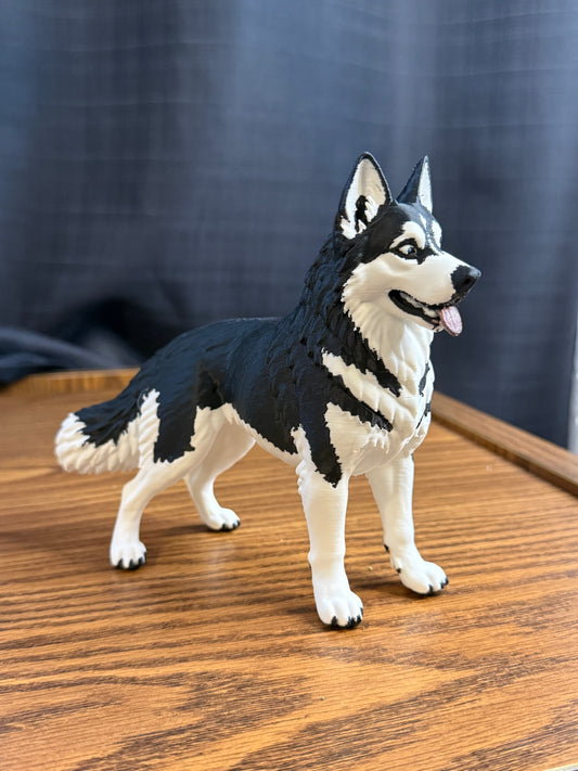 Siberian Husky