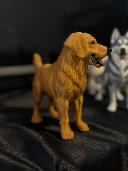 Golden Retriever