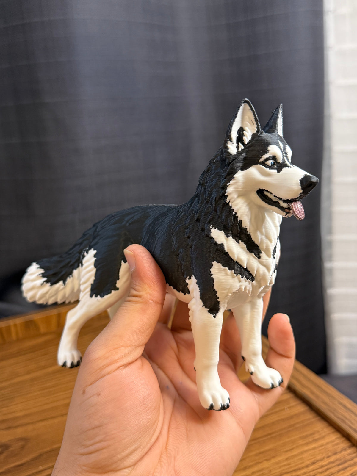 Siberian Husky
