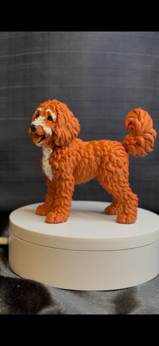 Goldendoodle