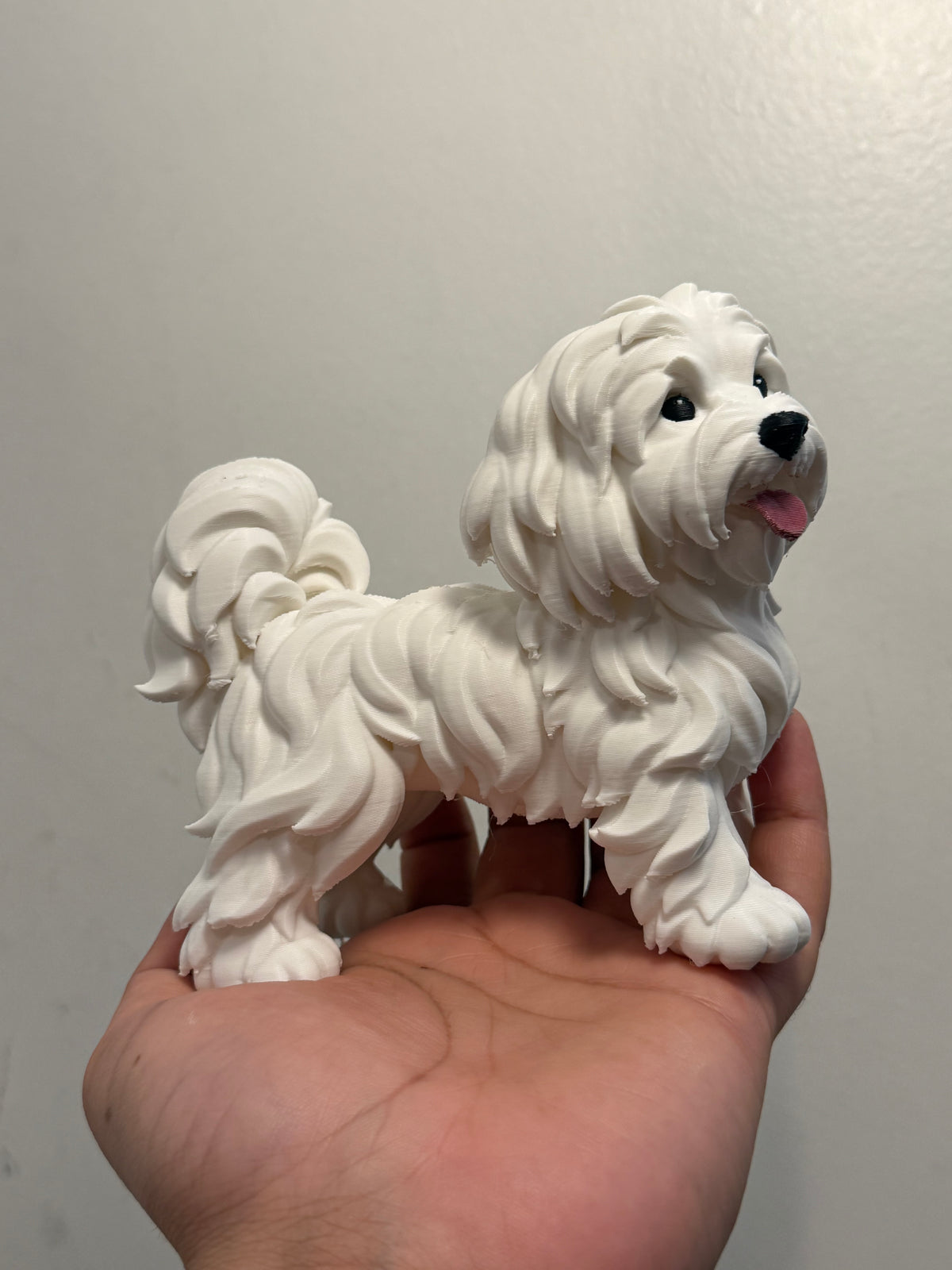 Shih-Tzu