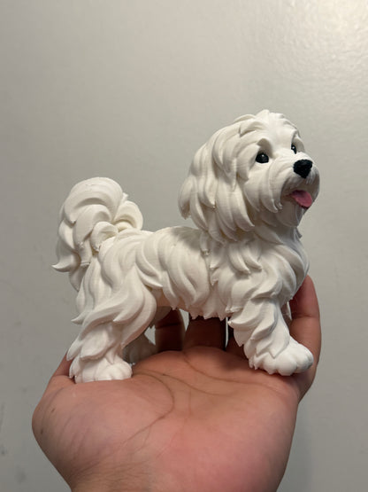 Shih-Tzu