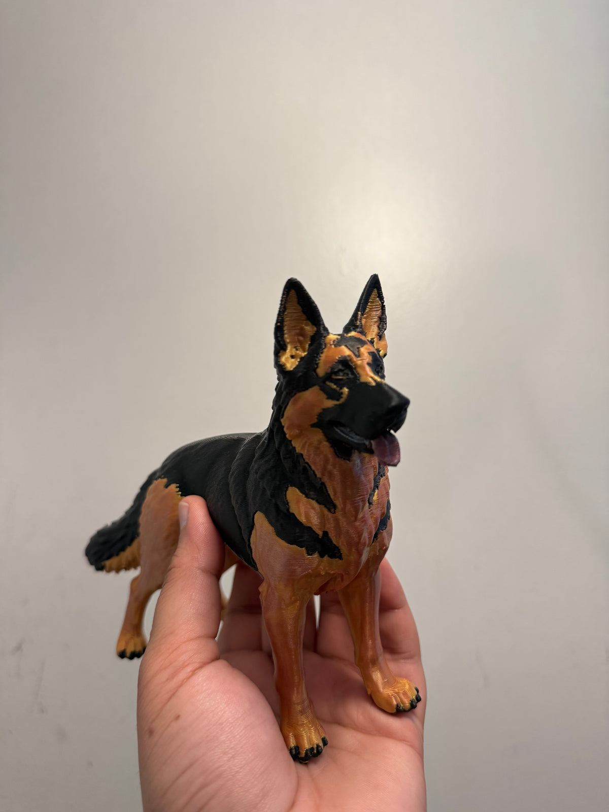 German Shepherd