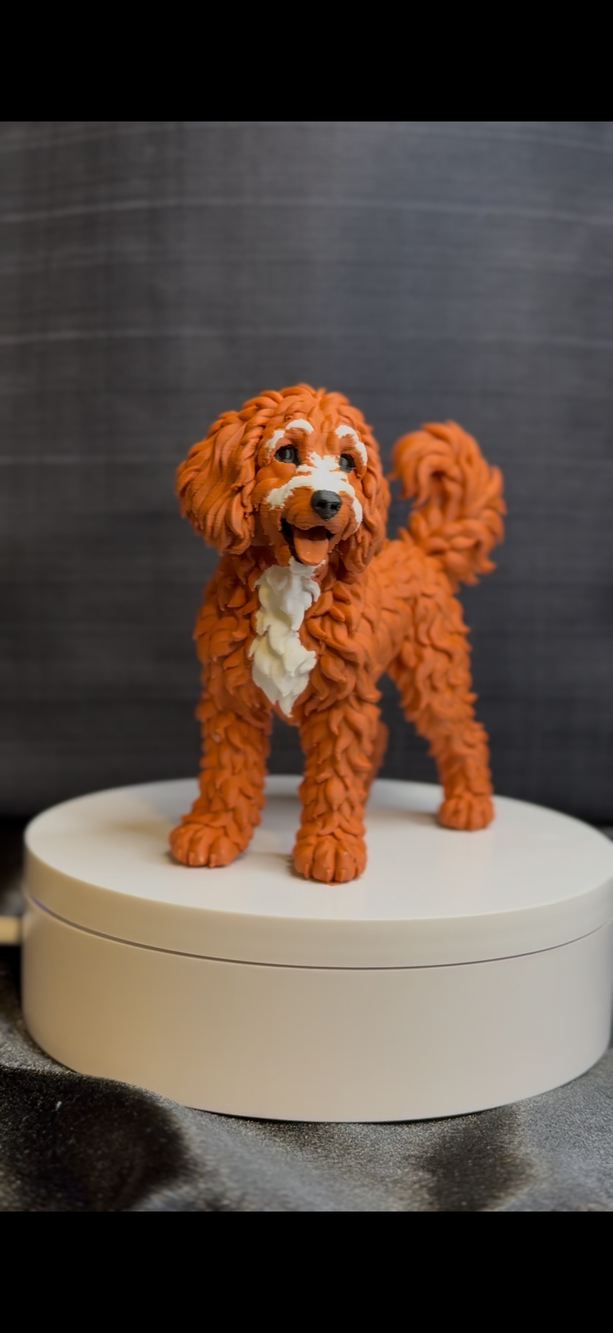 Goldendoodle