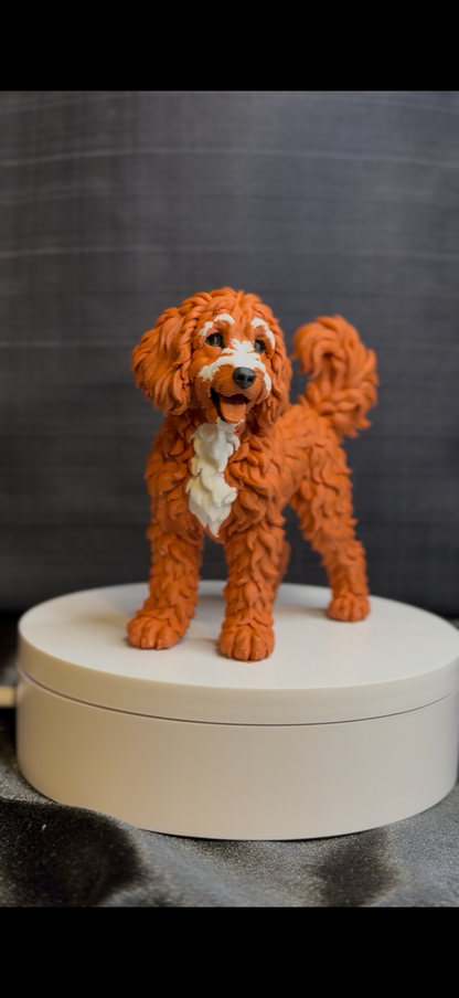 Goldendoodle