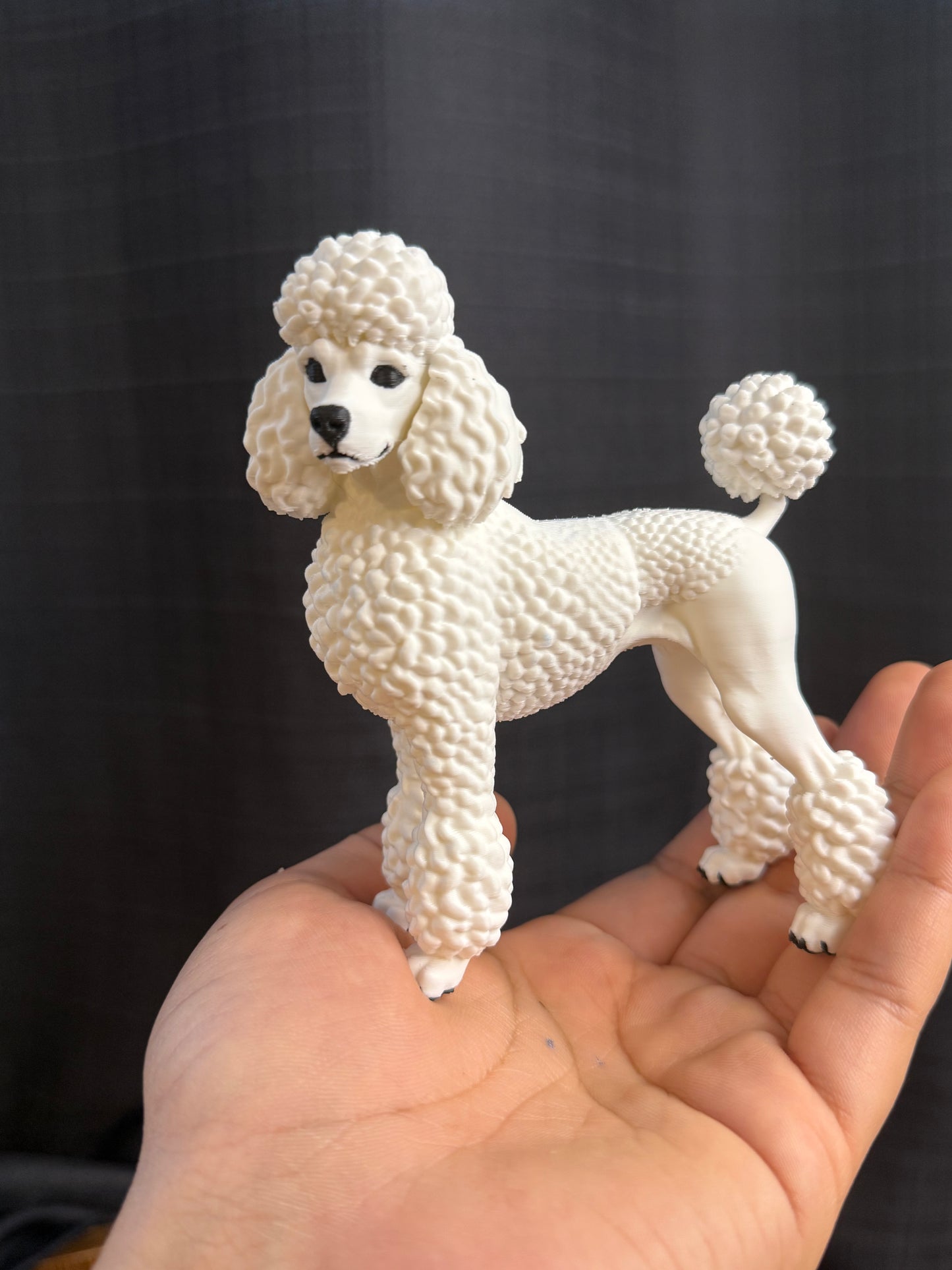 Poodle