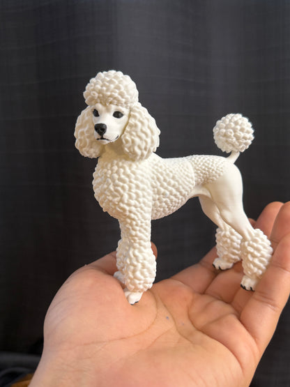 Poodle