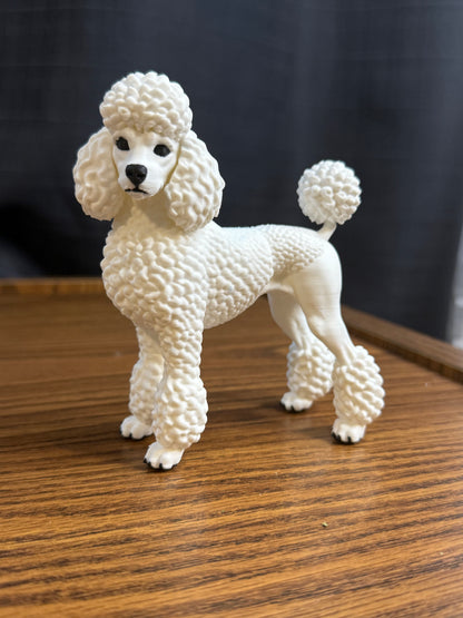 Poodle