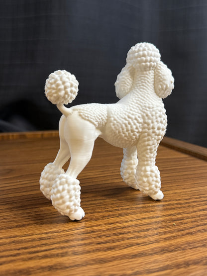 Poodle
