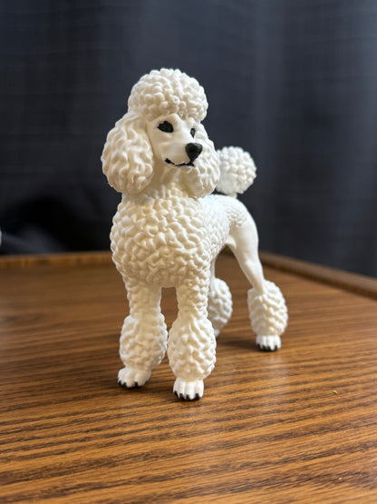 Poodle
